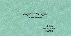 elephant's eyes.JPG